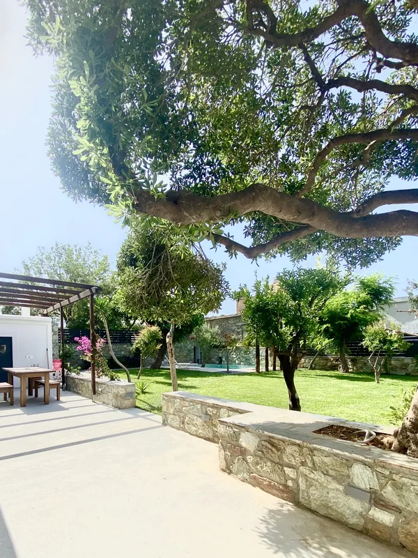 Svolis Townhouse, Terrazza
